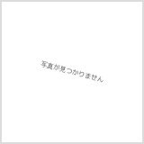 デッキケース『ひと時の魔法フォルティア』【-】{-}《サプライ》