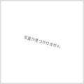 〔状態A-〕スリーブ『救国の獅子グランドエイゼル・シザーズ(Vol.108)』53枚入り【-】{-}《サプライ》